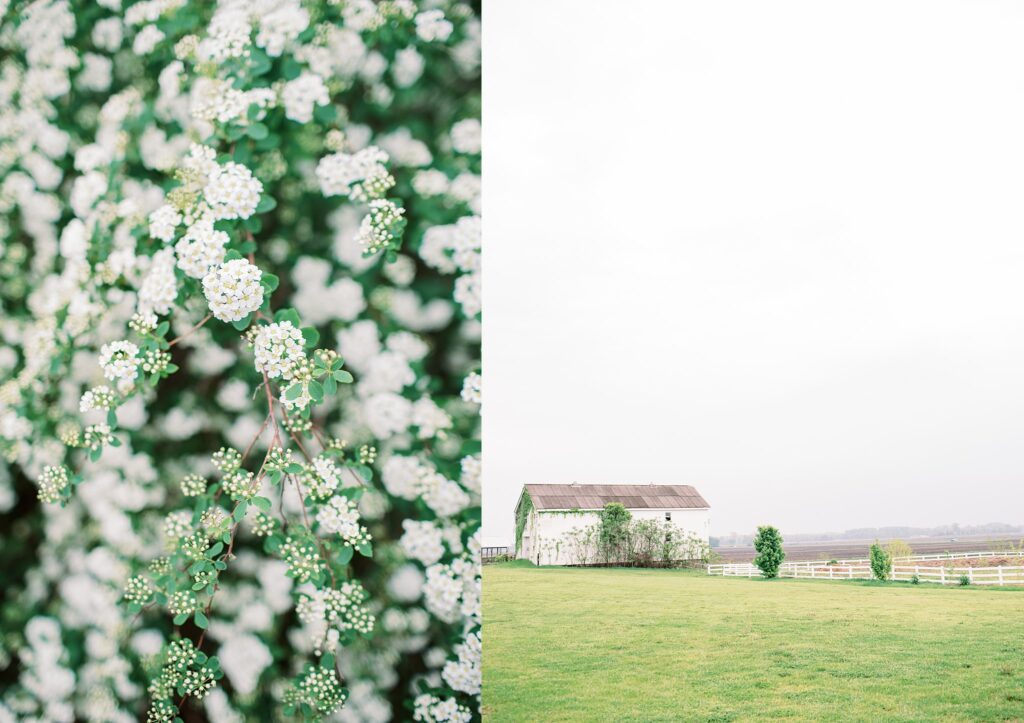 Spring-St-Joes-Farm-Wedding-Reception-Photos-by-Indianapolis-Wedding-Photographer-_0044